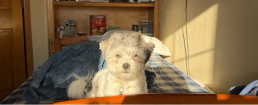 RyNo Design | Following - MakerWorld