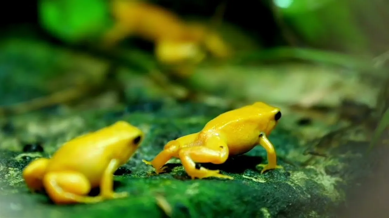 E Published Makerworld