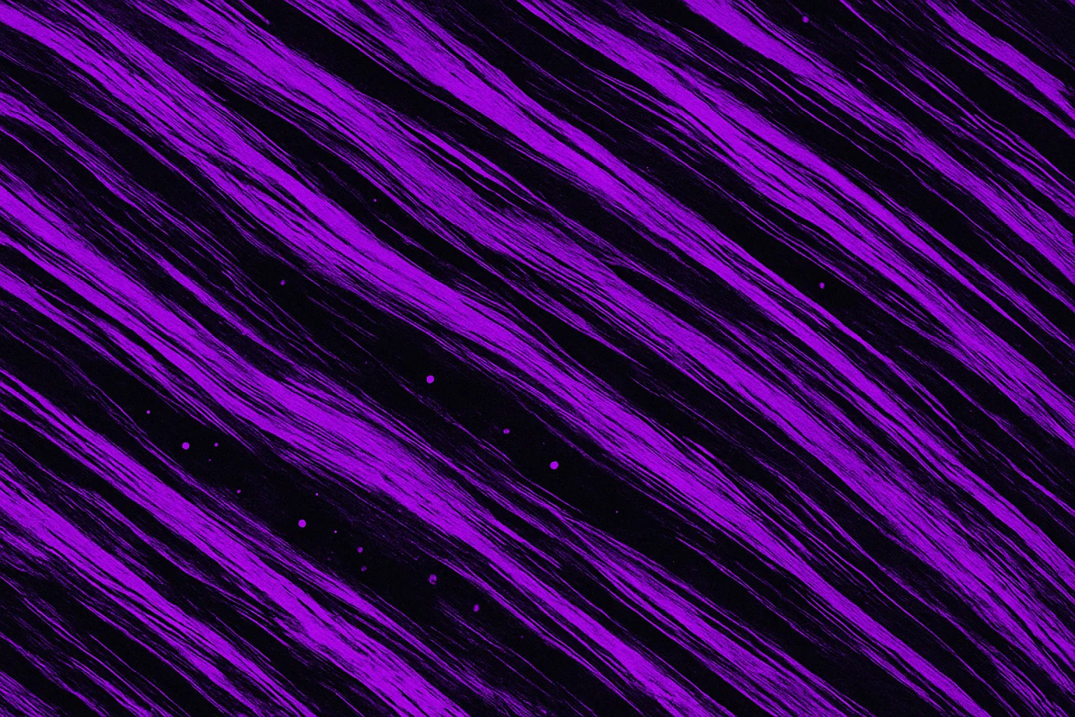 Its Donnie Home Makerworld