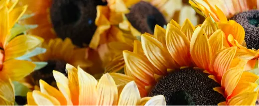 Flo | Collections - MakerWorld