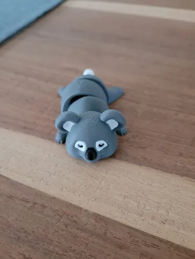 https://makerworld.bblmw.com/makerworld/comment/20260122/3935882133/6de2afcb2b500acf.jpg