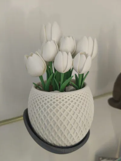 https://makerworld.bblmw.com/makerworld/comment/20260122/4226015714/acb3c1af0d712d98.jpeg