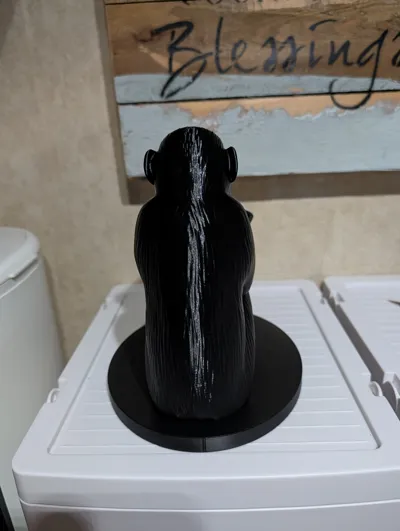 https://makerworld.bblmw.com/makerworld/comment/20260123/1812223119/281cd3b057f38b62.jpg
