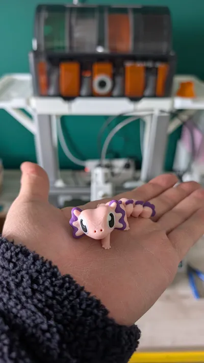 https://makerworld.bblmw.com/makerworld/comment/20260123/2194694769/d0ecb480547900cb.jpg