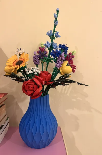 https://makerworld.bblmw.com/makerworld/comment/20260123/2892095227/dcee8a207adb8cc2.png