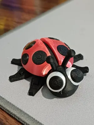 https://makerworld.bblmw.com/makerworld/comment/20260123/414197396/455bda688aff959e.jpg