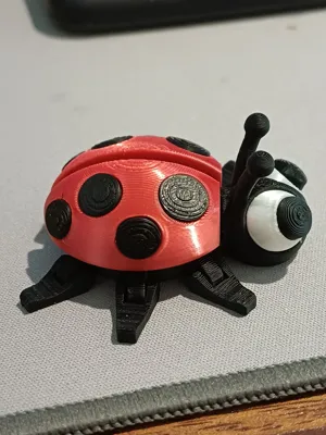 https://makerworld.bblmw.com/makerworld/comment/20260123/414197396/fa8065e804d2e0f2.jpg