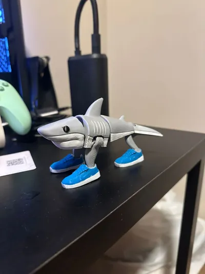 https://makerworld.bblmw.com/makerworld/comment/20260124/1341269021/077941aa6fc91133.jpeg