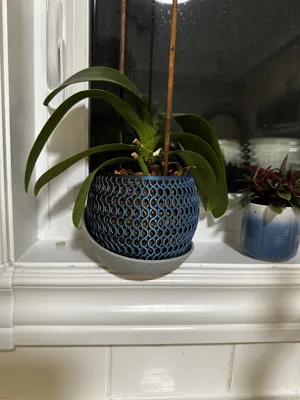 https://makerworld.bblmw.com/makerworld/comment/20260124/2056287427/21d94071ed0acee7.jpeg