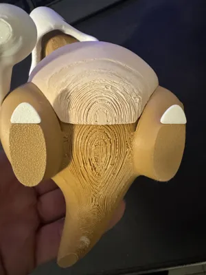 https://makerworld.bblmw.com/makerworld/comment/20260124/2424323306/bc16862c42fe101b.jpeg