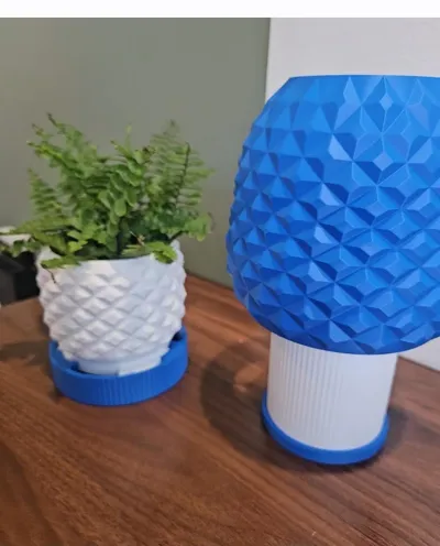 https://makerworld.bblmw.com/makerworld/comment/20260124/3777661953/c331e7c5b5bb2b55.jpg