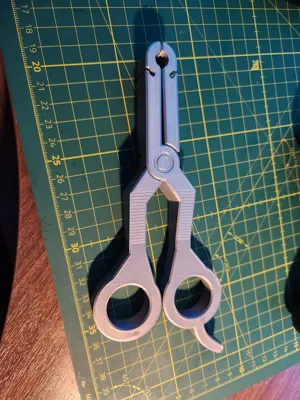 https://makerworld.bblmw.com/makerworld/comment/20260124/4120787344/d05019f8a671c8c3.jpg