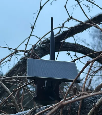 https://makerworld.bblmw.com/makerworld/comment/20260124/82251189/77aa63ae7dfeb4f2.jpg