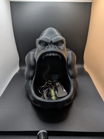 https://makerworld.bblmw.com/makerworld/comment/20260125/1812223119/16cd7ca8ac3e35a8.jpg