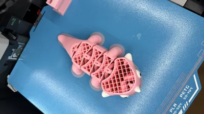 https://makerworld.bblmw.com/makerworld/comment/20260125/4057594010/d55c1f80fa9298a8.jpg