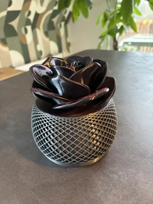 https://makerworld.bblmw.com/makerworld/comment/20260125/473549171/8a01592ada4e5dc6.jpeg