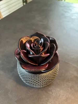 https://makerworld.bblmw.com/makerworld/comment/20260125/473549171/b69bf35f03c4194d.jpeg