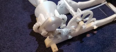 https://makerworld.bblmw.com/makerworld/comment/20260126/1931542203/d1d63d65a28ca8d1.jpg