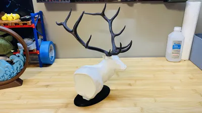 https://makerworld.bblmw.com/makerworld/comment/20260126/3365942667/9423d8d234c1f8d8.jpeg