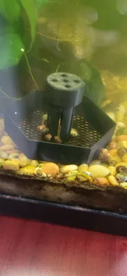 https://makerworld.bblmw.com/makerworld/comment/20260126/4177788010/889e8aeaa4ff61bc.jpg