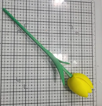 https://makerworld.bblmw.com/makerworld/comment/20260127/1489488548/bf0caf4ac1f31ff5.jpeg