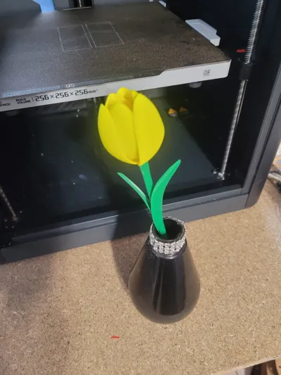 https://makerworld.bblmw.com/makerworld/comment/20260127/1489488548/c4e239bafeb71f94.jpeg