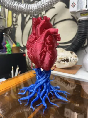 https://makerworld.bblmw.com/makerworld/comment/20260127/48549149/d821f53f2bb005ab.jpeg