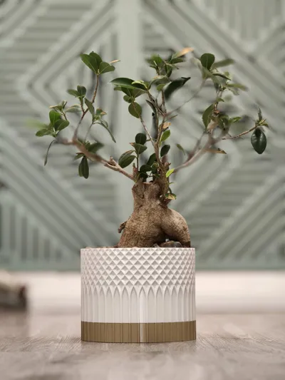 https://makerworld.bblmw.com/makerworld/comment/20260128/138017486/50dcbe175b27367d.jpg