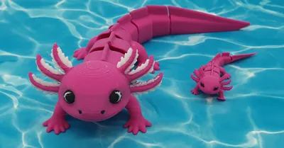 https://makerworld.bblmw.com/makerworld/comment/20260128/2183294627/7121d80fbd25267a.jpg