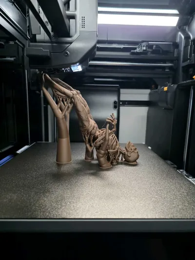 https://makerworld.bblmw.com/makerworld/comment/20260128/2494208604/57decea6ae35a6d6.jpg
