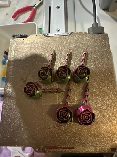 https://makerworld.bblmw.com/makerworld/comment/20260128/3293282489/dbb3aec4aad71331.jpg