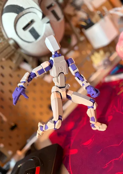 https://makerworld.bblmw.com/makerworld/comment/20260128/3507445744/eceed11399b3f908.jpg