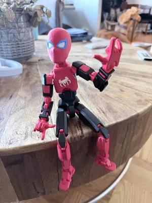 https://makerworld.bblmw.com/makerworld/comment/20260128/3768796726/481319af90ece538.jpeg