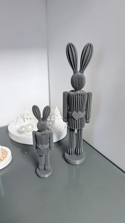 https://makerworld.bblmw.com/makerworld/comment/20260128/3952124310/ed16cf809baed40d.jpg