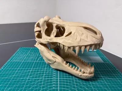 https://makerworld.bblmw.com/makerworld/comment/20260128/4043012457/b589448c7fd4891d.jpg