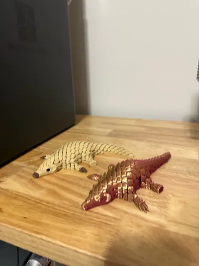 https://makerworld.bblmw.com/makerworld/comment/20260128/4086296722/3466e17581840fa6.jpg