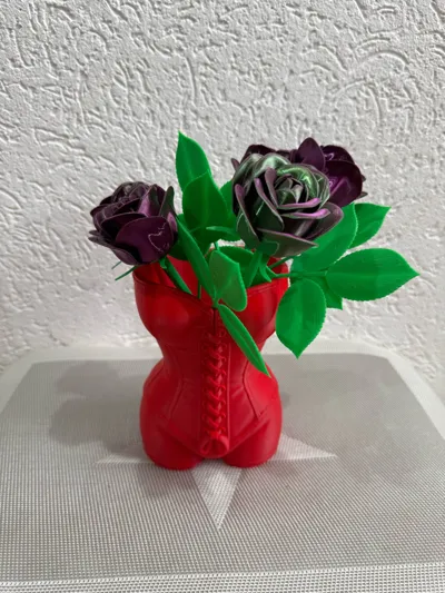 https://makerworld.bblmw.com/makerworld/comment/20260129/1113721893/b5839679ce4bea55.jpg