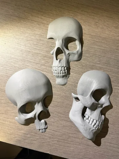 https://makerworld.bblmw.com/makerworld/comment/20260129/1277872315/0daeb20a7ca259be.jpg