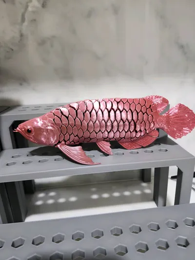 https://makerworld.bblmw.com/makerworld/comment/20260129/1602975335/99ce20e1c35894db.jpg