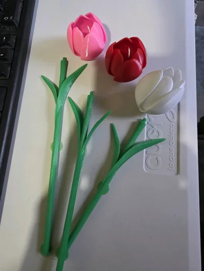 https://makerworld.bblmw.com/makerworld/comment/20260129/2041394172/e571804f9bca7b2e.jpg