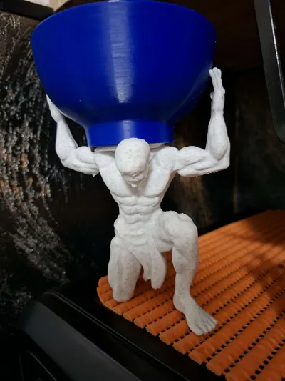 https://makerworld.bblmw.com/makerworld/comment/20260129/2401574924/9537f94d210ddb2f.jpg