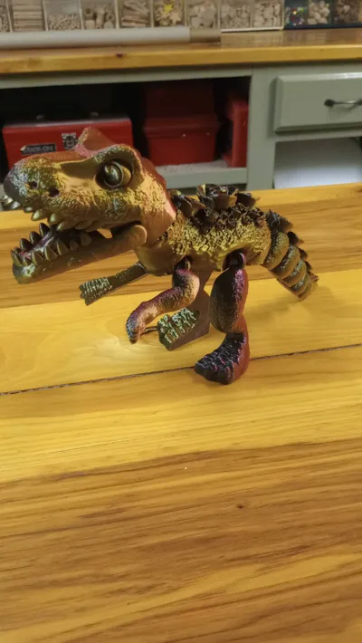https://makerworld.bblmw.com/makerworld/comment/20260129/2614031765/dd944cc6b467b2aa.jpg