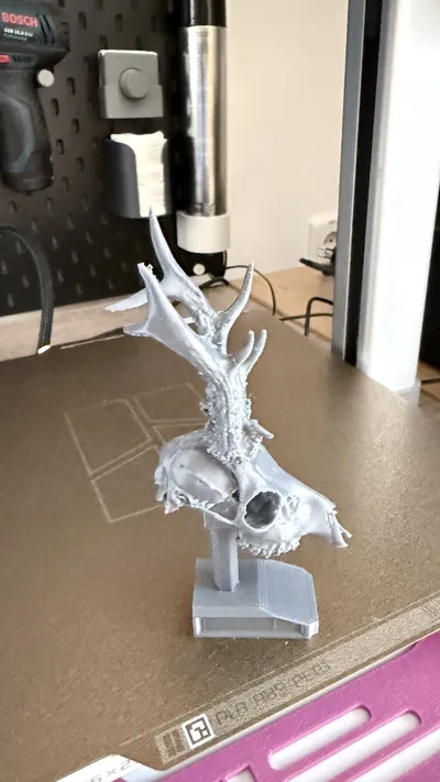 https://makerworld.bblmw.com/makerworld/comment/20260129/2710122051/d3f282209af8934d.jpeg