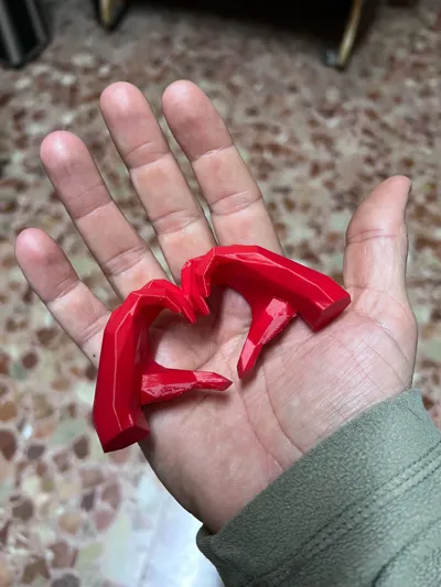 https://makerworld.bblmw.com/makerworld/comment/20260129/2799997209/5e53deeac65a39be.jpg