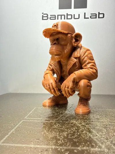 https://makerworld.bblmw.com/makerworld/comment/20260129/2978635908/0d18d8dd22a5933b.jpg