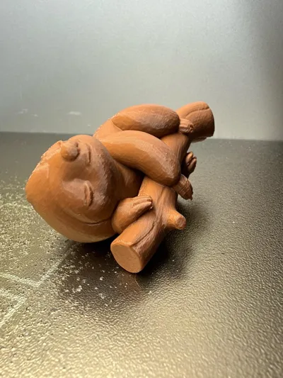 https://makerworld.bblmw.com/makerworld/comment/20260129/2978635908/3c9ecbd77ebb368f.jpg