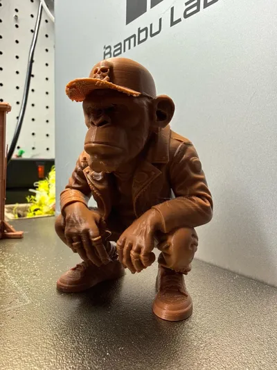 https://makerworld.bblmw.com/makerworld/comment/20260129/2978635908/4d24297332f1ebe4.jpg