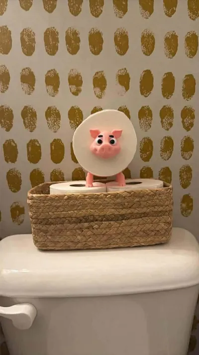 https://makerworld.bblmw.com/makerworld/comment/20260129/3046001034/8c463e8c1e9eda12.jpg