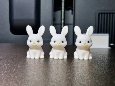 https://makerworld.bblmw.com/makerworld/comment/20260129/3122002845/ade18505df45abaa.jpg