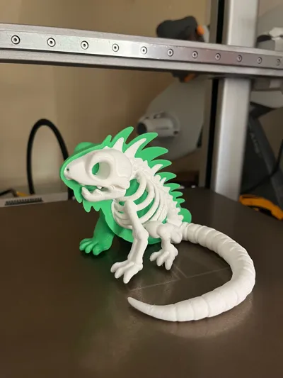 https://makerworld.bblmw.com/makerworld/comment/20260129/3220004570/7be2bb7f7c40c524.jpg